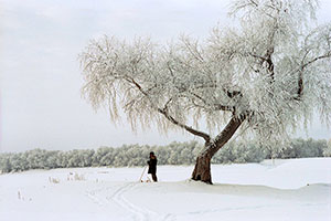 From the series «Winter Perspectives». Abalak, Russia