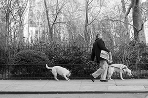 Walk. New York, USA